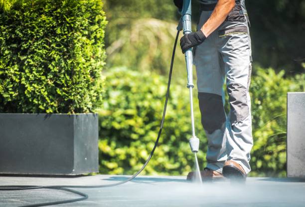 Best Solar Panel Cleaning  in Arthurdale, WV